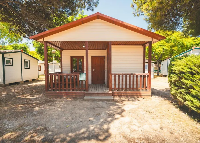 Holacamp Relax Kamp alanı *