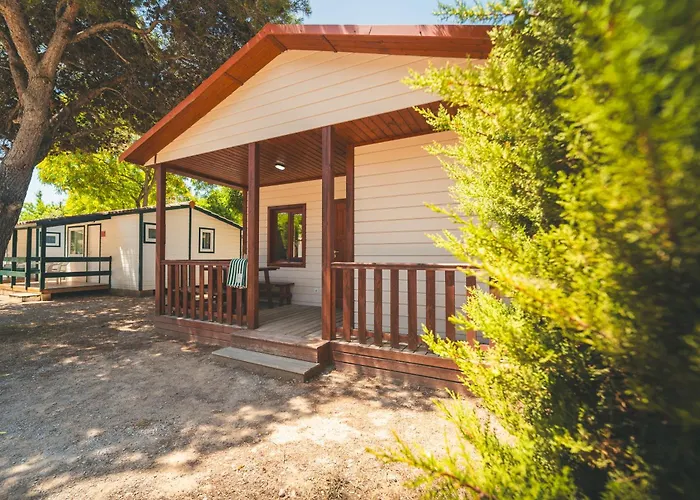 Holacamp Relax Kamp alanı